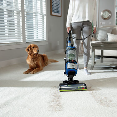BISSELL® | Vacuum Cleaner, Carpet Cleaner, Steam Cleaner and Parts